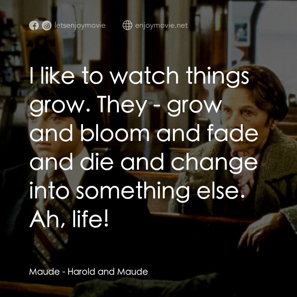 哈洛與茂德電影對白：Maude:  I like to watch things grow. They - grow and bloom and fade and die and c