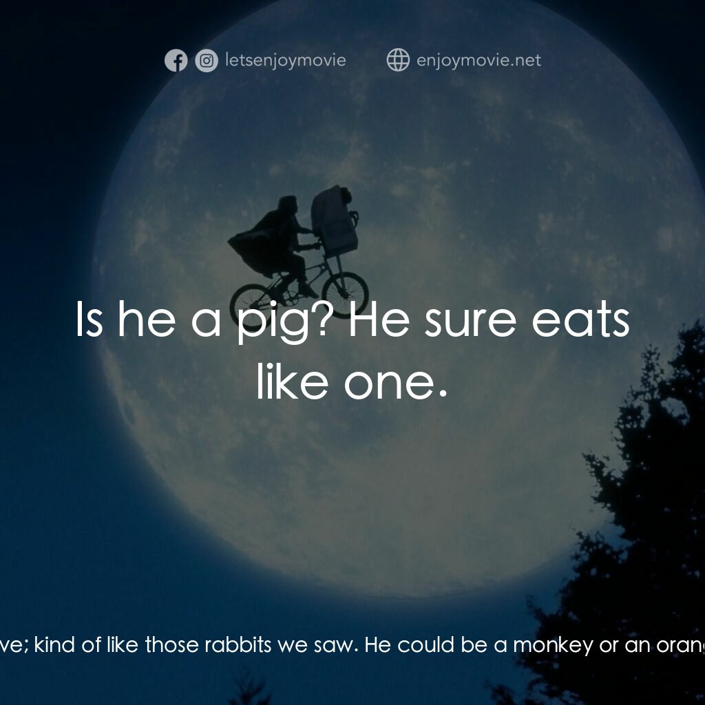 E.T.外星人電影對白：Michael:  Maybe he's some animal that wasn't supposed to live; kind of like those