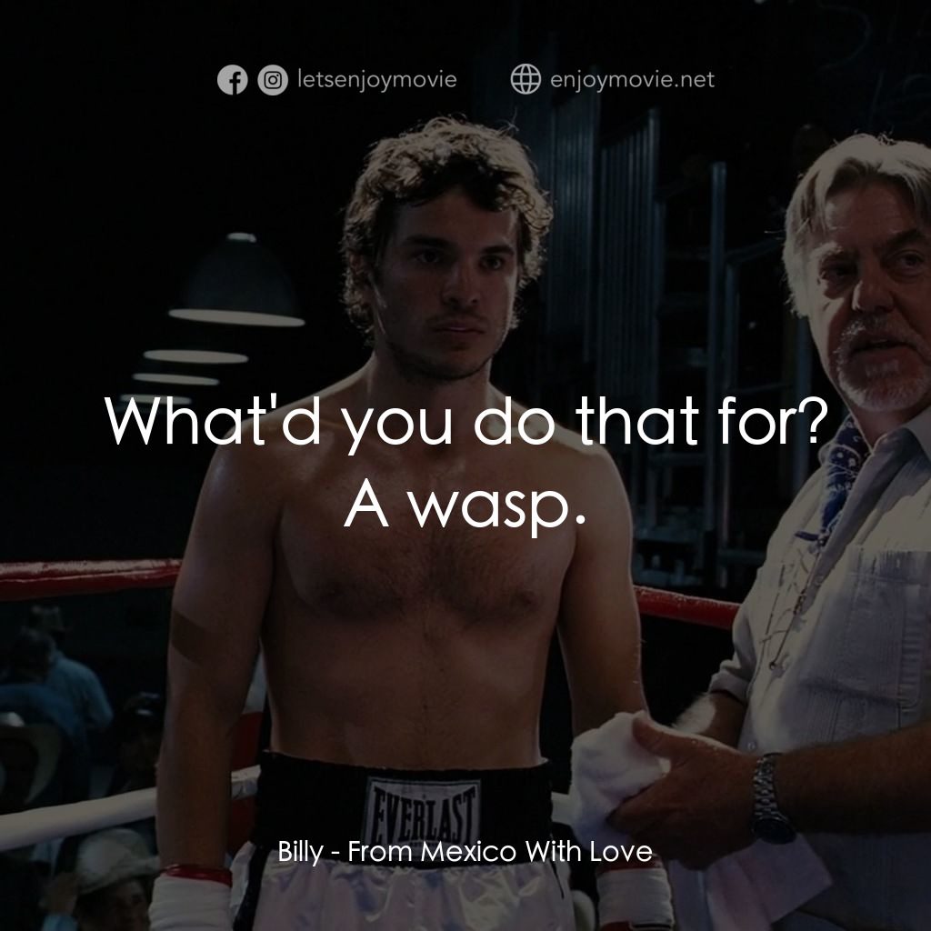 墨西哥情書電影對白：What'd you do that for?
Billy: A wasp.