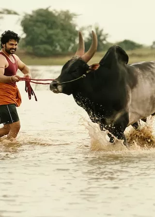 似是親人來 海報