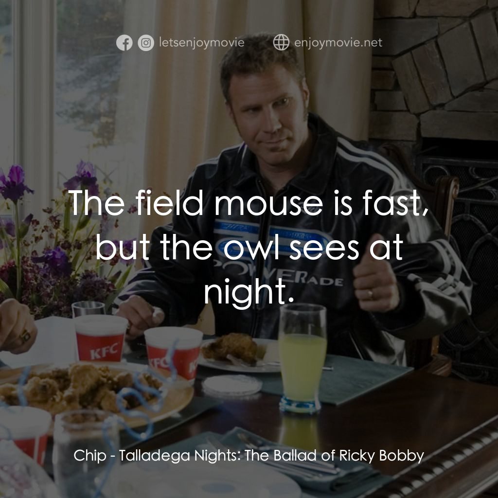 王牌飆風電影對白：Chip: The field mouse is fast, but the owl sees at night.