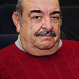 Selçuk Uluergüven 飾演 