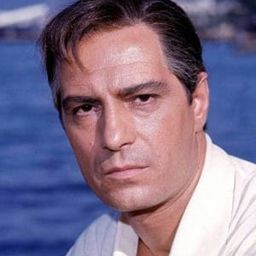 Nino Manfredi 飾演 Domenico Ceccacci