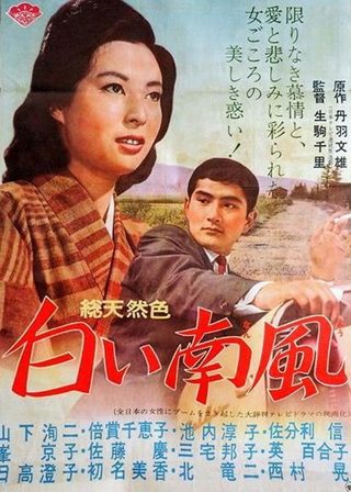 《白い南風》電影海報