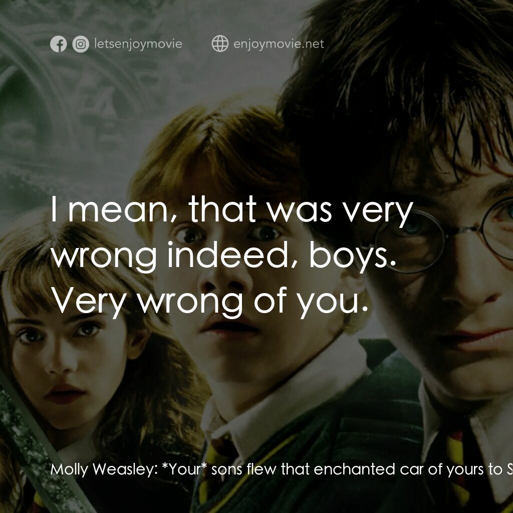 哈利波特：消失的密室電影對白：Molly Weasley:  *Your* sons flew that enchanted car of yours to Surrey and back l
