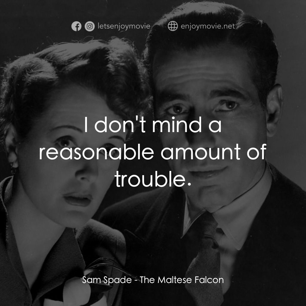 群雄奪寶鷹電影對白：Sam Spade: I don't mind a reasonable amount of trouble.