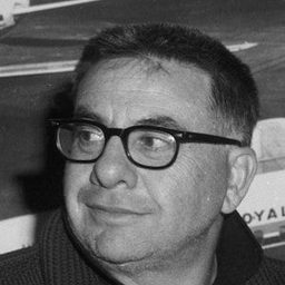 Martin Ritt - 生活的困景導演