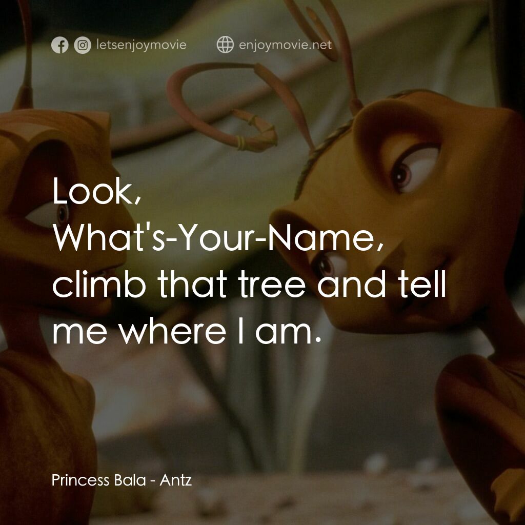 小蟻雄兵電影對白：Princess Bala:  Look, What's-Your-Name, climb that tree and tell me where I am.