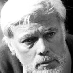 Jean Valmont 飾演 Jaffar (voice)