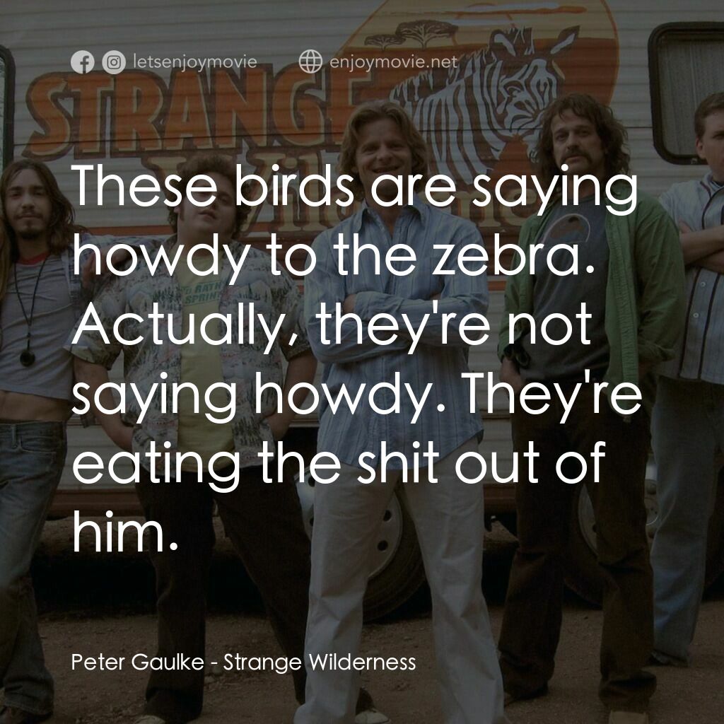 陌生荒漠電影對白：Peter Gaulke:  These birds are saying howdy to the zebra. Actually, they're not s