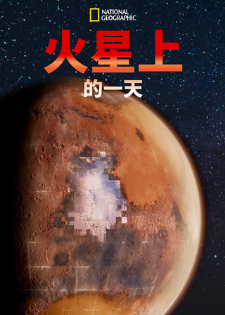 《高科技狂歡》電影海報