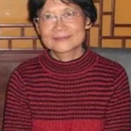 羅雪瑩 - 首席執行官編劇