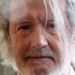 Roger Van Hool 飾演 Scarlett's Father