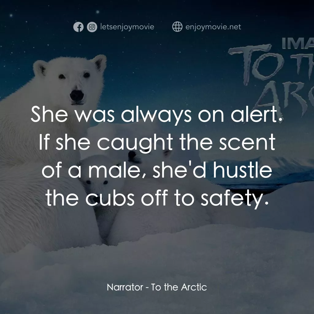 到北極去電影對白：Narrator: She was always on alert. If she caught the scent of a male, she'd hustl