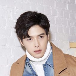 方逸倫 飾演 Xia Lingfeng / Wu Ya