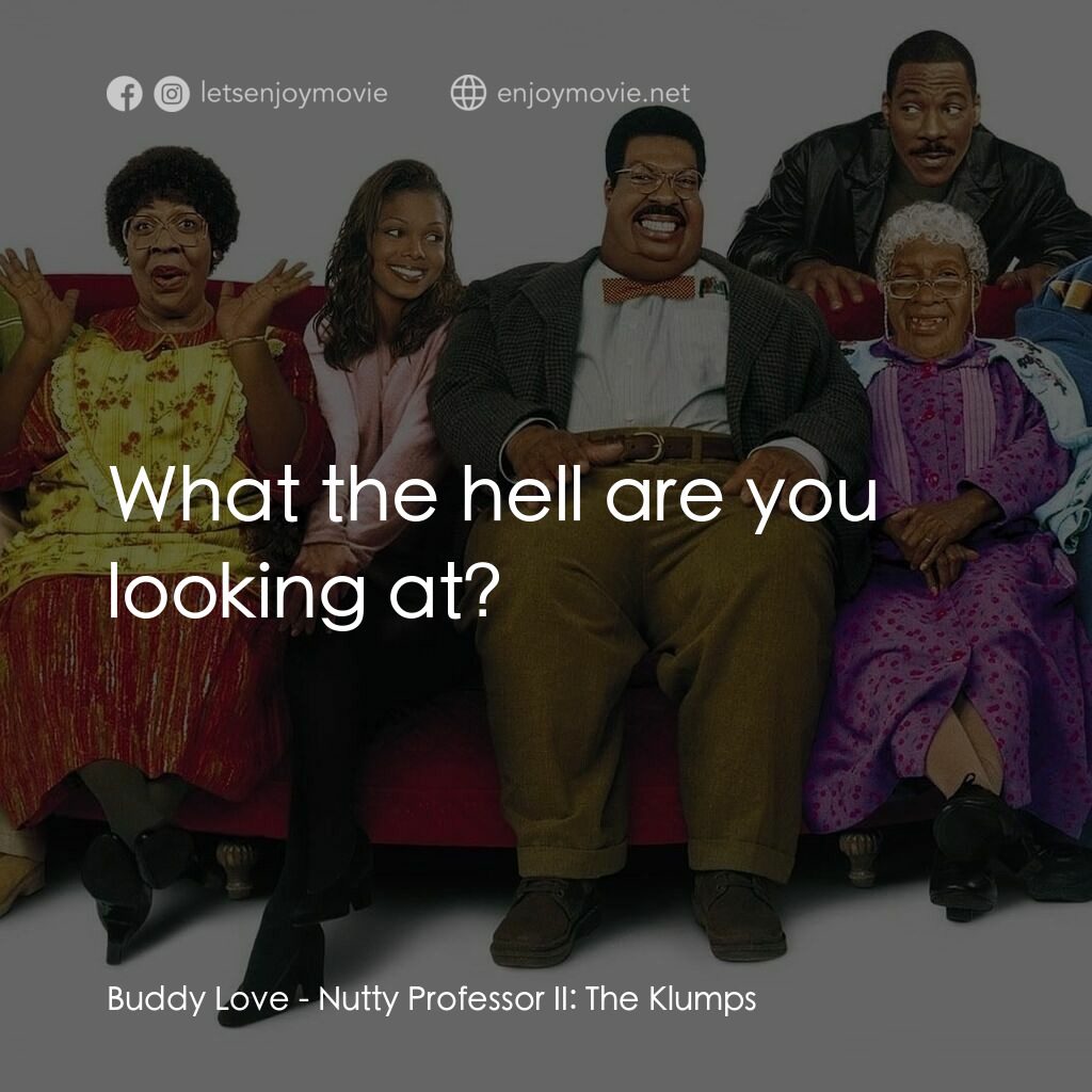 隨身變 ２：我們才是一家人電影對白：Buddy Love:  What the hell are you looking at?