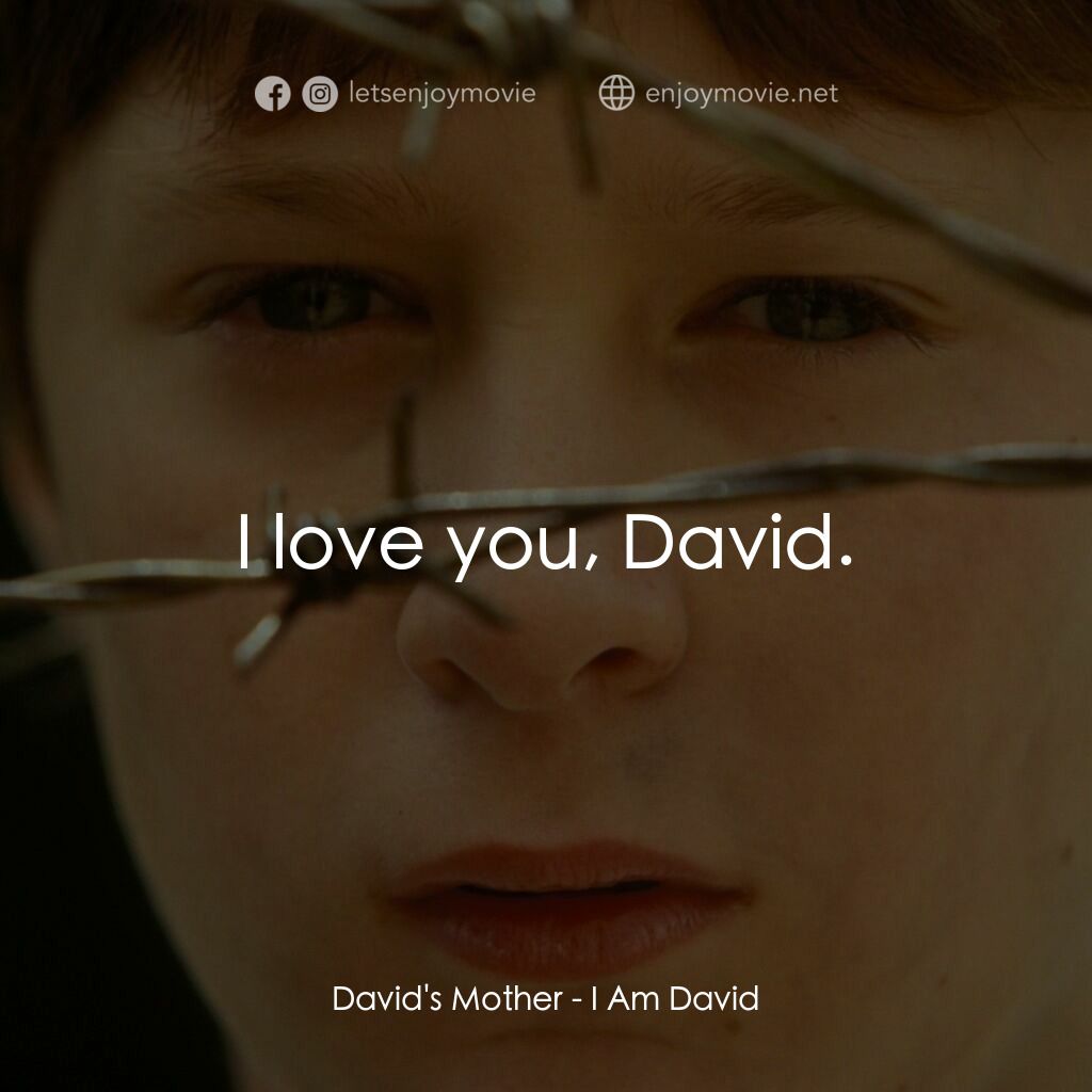 送信到哥本哈根電影對白：David's Mother:  I love you, David.