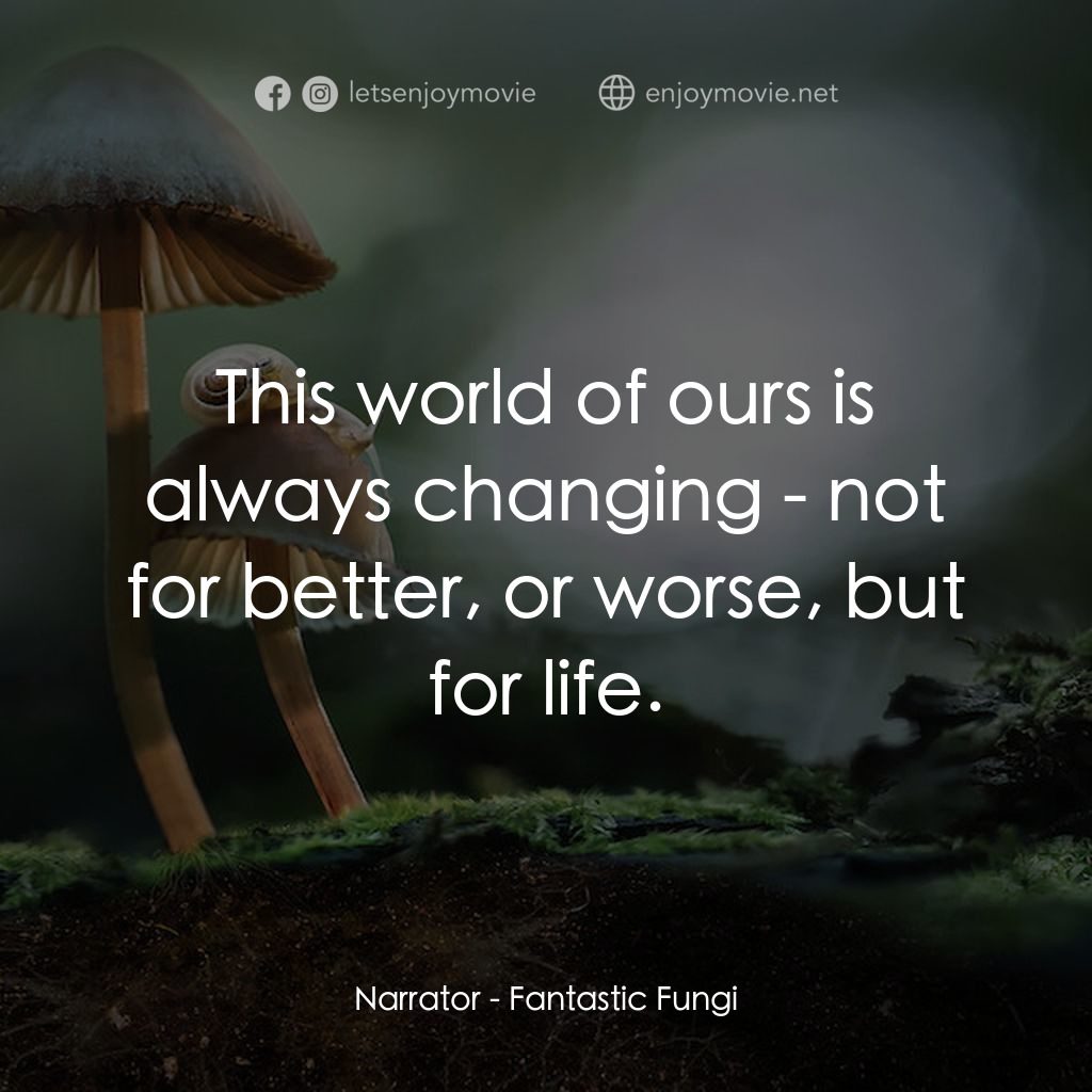 美妙蕈菇電影對白：Narrator: This world of ours is always changing - not for better, or worse, but f