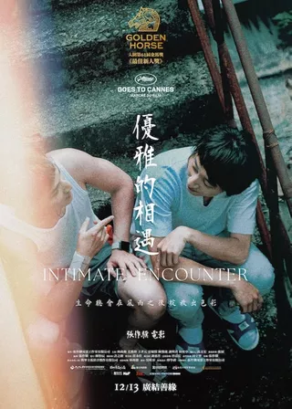 《優雅的相遇》電影海報