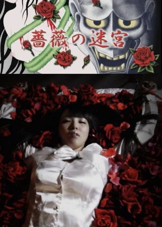 《薔薇の迷宮》電影海報