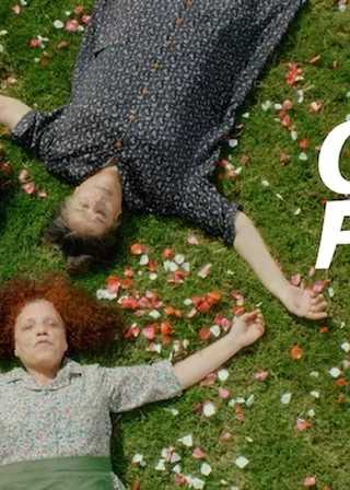 《仙人掌之花》電影海報