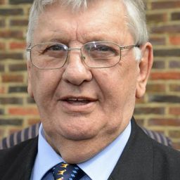 Derek Martin 飾演 Commissioner Hutchinson