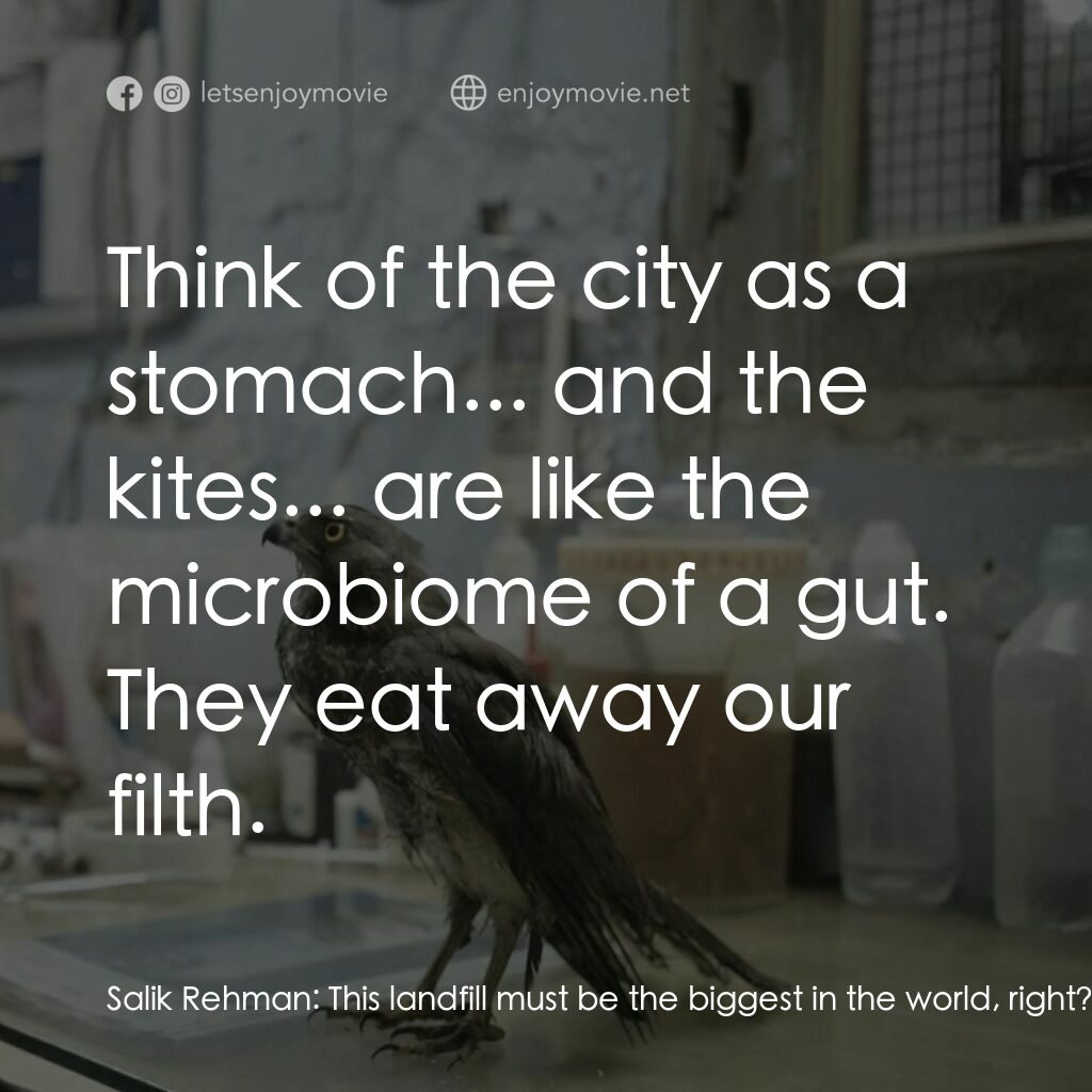 《在牠們的凝視之間》經典台詞：Salik Rehman:  This landfill must be the biggest i ...