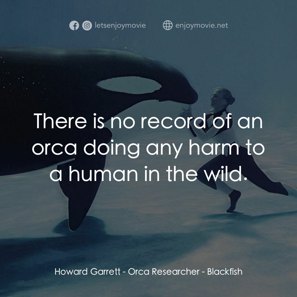 黑魚電影對白：Howard Garrett - Orca Researcher:  There is no record of an orca doing any harm t