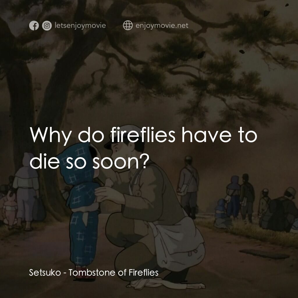 再見螢火蟲電影對白：Setsuko:  Why do fireflies have to die so soon?