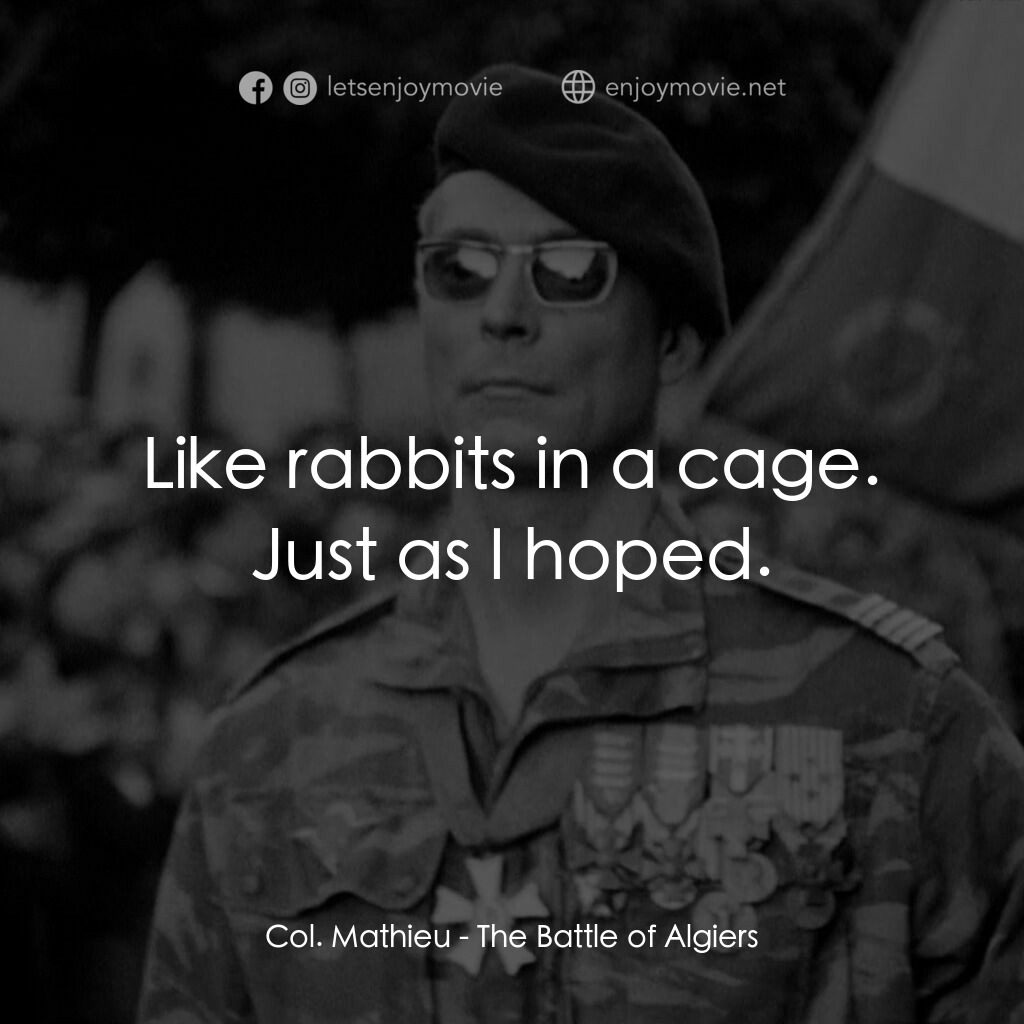 阿爾及爾之戰電影對白：Col. Mathieu:  Like rabbits in a cage. Just as I hoped.