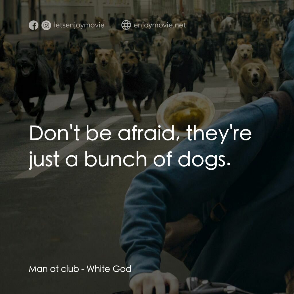 狗眼看人間電影對白：Man at club:  Don't be afraid, they're just a bunch of dogs.