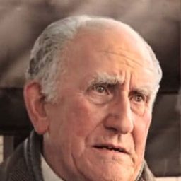 William Johnson 飾演 Manny