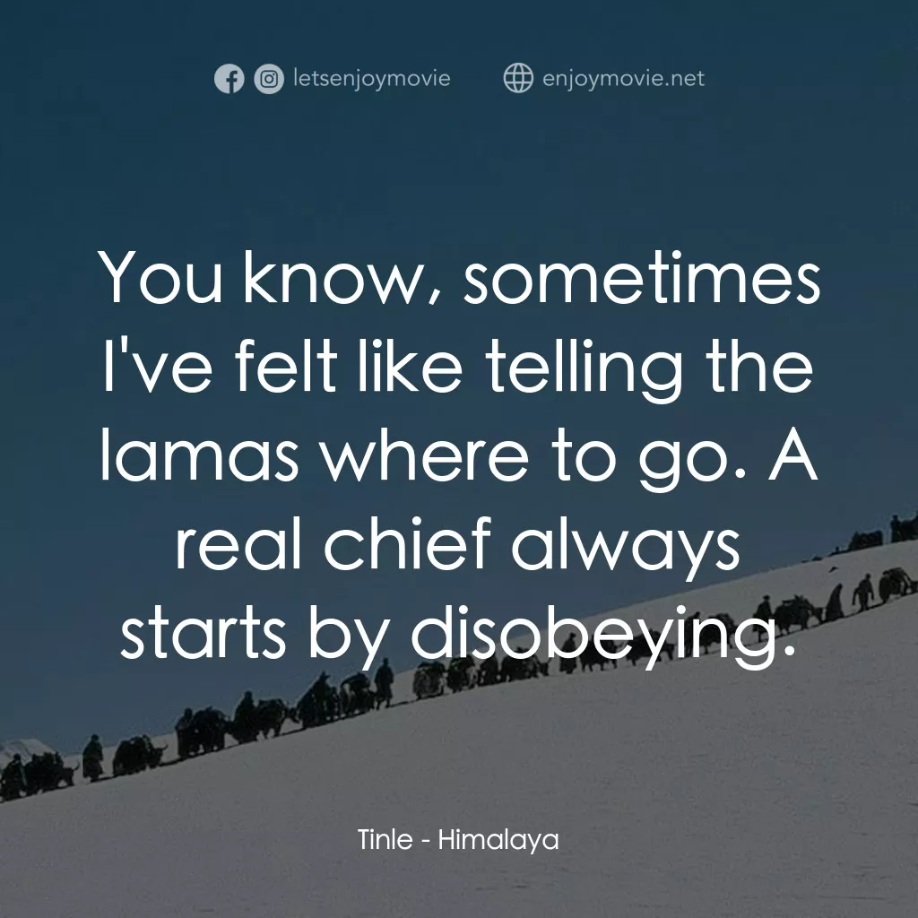 喜馬拉雅電影對白：Tinle: You know, sometimes I've felt like telling the lamas where to go. A real c
