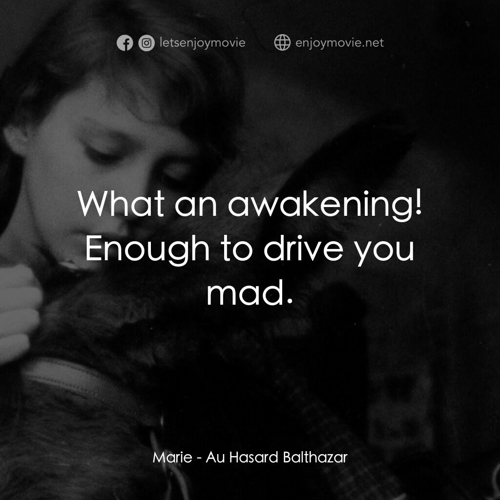 驢子巴特薩電影對白：Marie:  What an awakening! Enough to drive you mad.