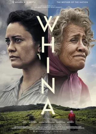 《菲娜：土地抗爭之母》電影海報