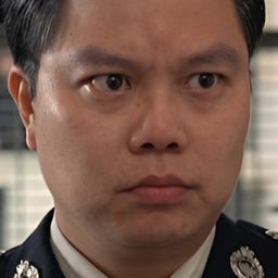 冼錦青 - 十萬火急演員 飾演Firefighter