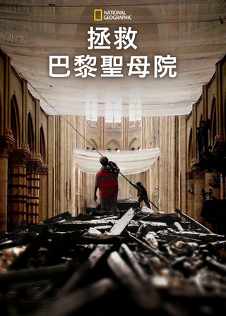 《拯救巴黎聖母院》電影海報