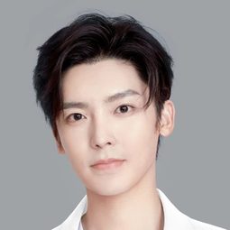 侯明昊 飾演 Gao Silin