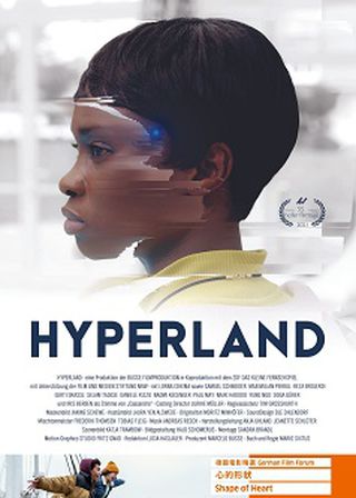 《誣網之災》電影海報