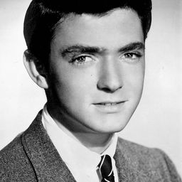 Tim Considine 飾演 Judge