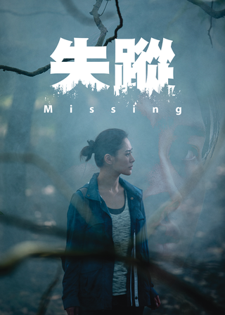 《失蹤》電影海報