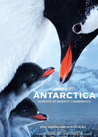 《Antarctica》電影海報