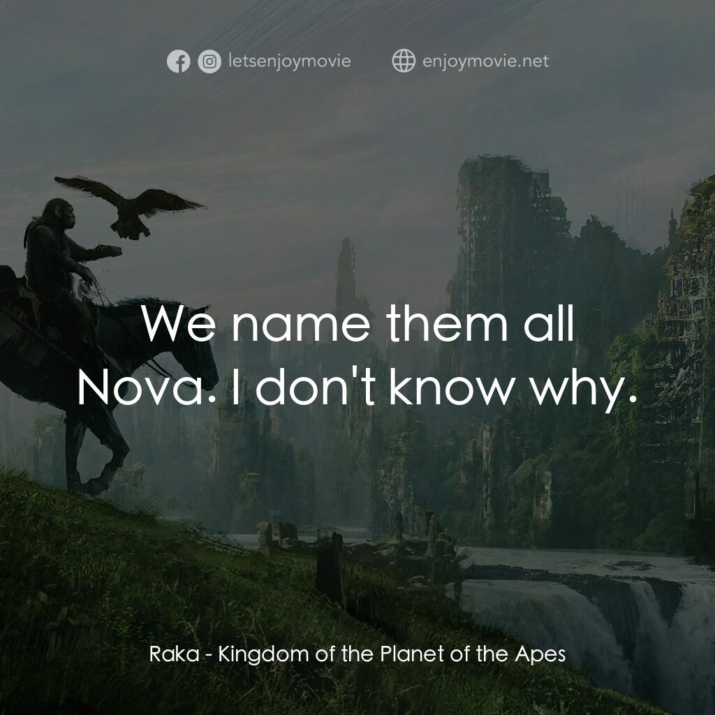 猿人爭霸戰：猩凶帝國電影對白：Raka:  We name them all Nova. I don't know why.