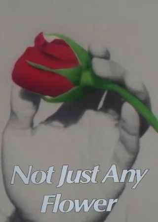 《Not Just Any Flower》電影海報