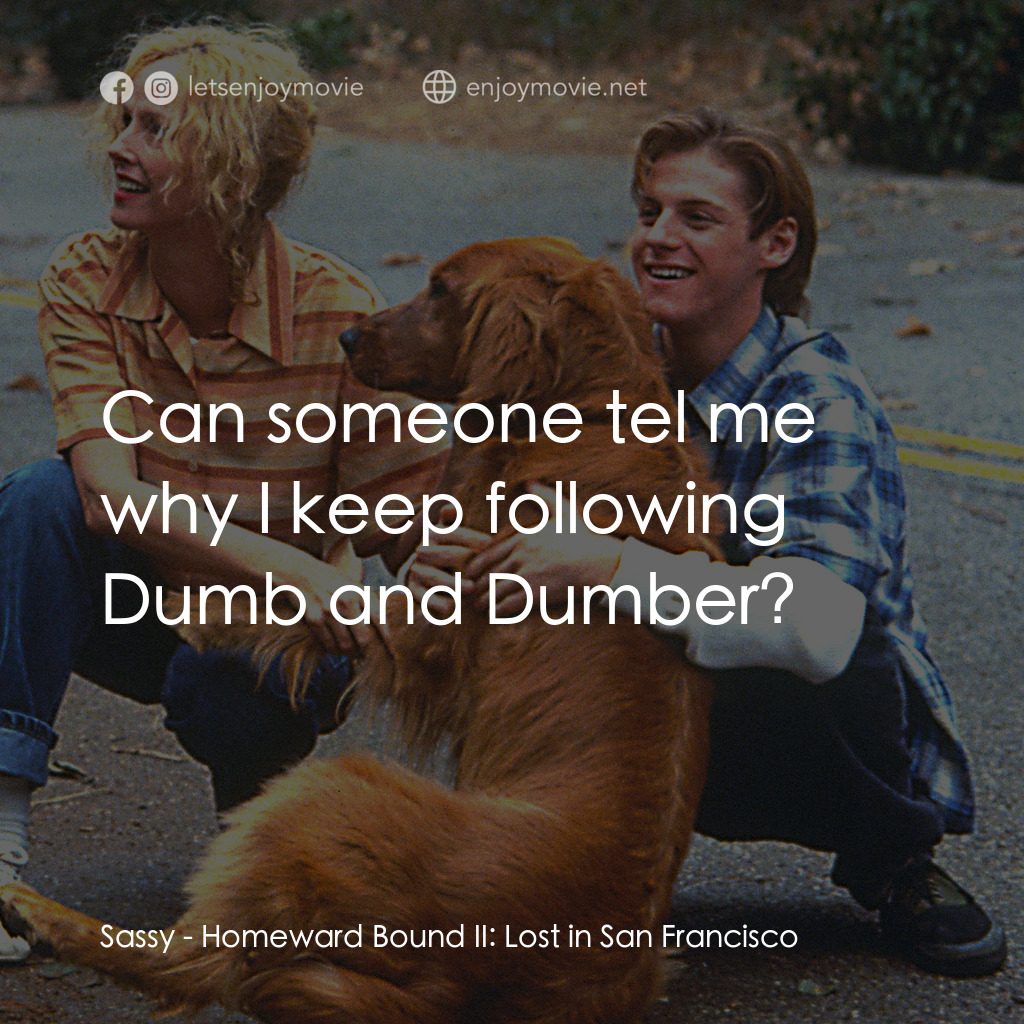 《貓狗也瘋狂續集之三藩市流浪記》經典台詞：Sassy:  Can someone tel me why I keep following Du ...