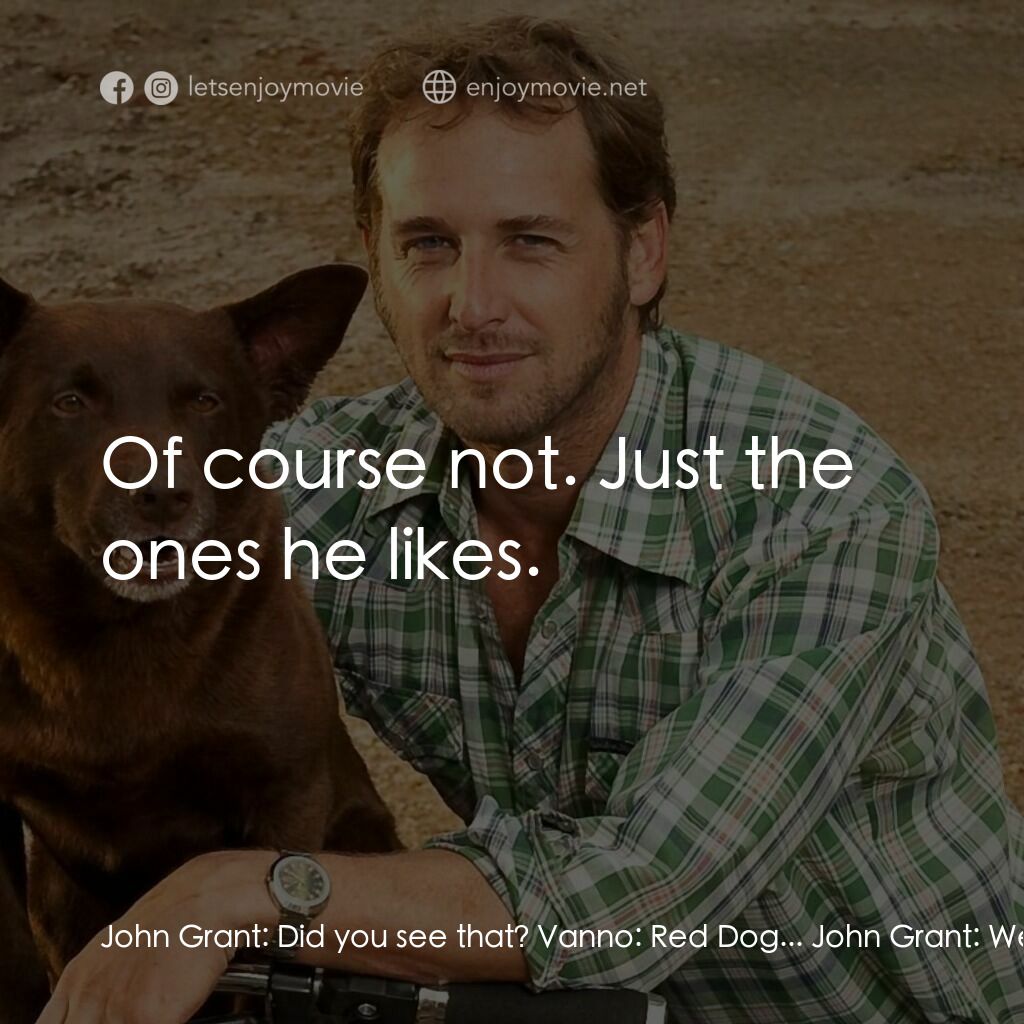 紅狗背包客電影對白：John Grant:  Did you see that? Vanno:  Red Dog... John Grant:  Well, he almost go