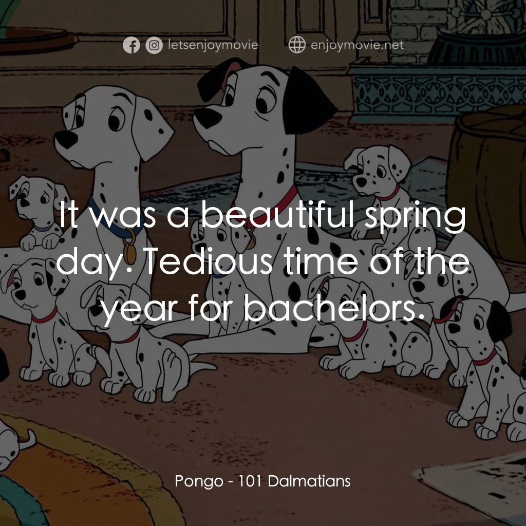101斑點狗電影對白：Pongo: It was a beautiful spring day. Tedious time of the year for bachelors.