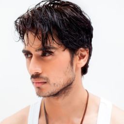 希夫·潘迪特 飾演 Viraj Kapoor