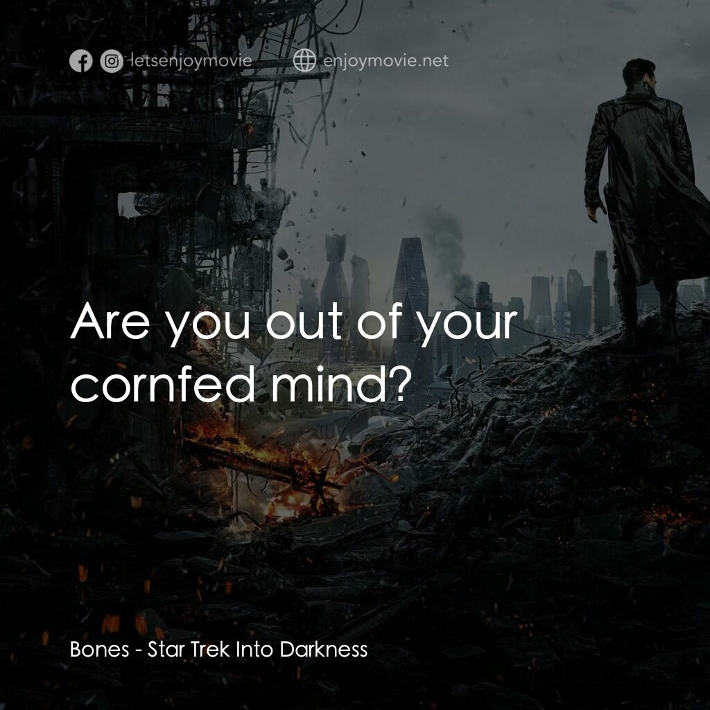 星際爭霸戰：闇黑無界電影對白：Bones:  Are you out of your cornfed mind?