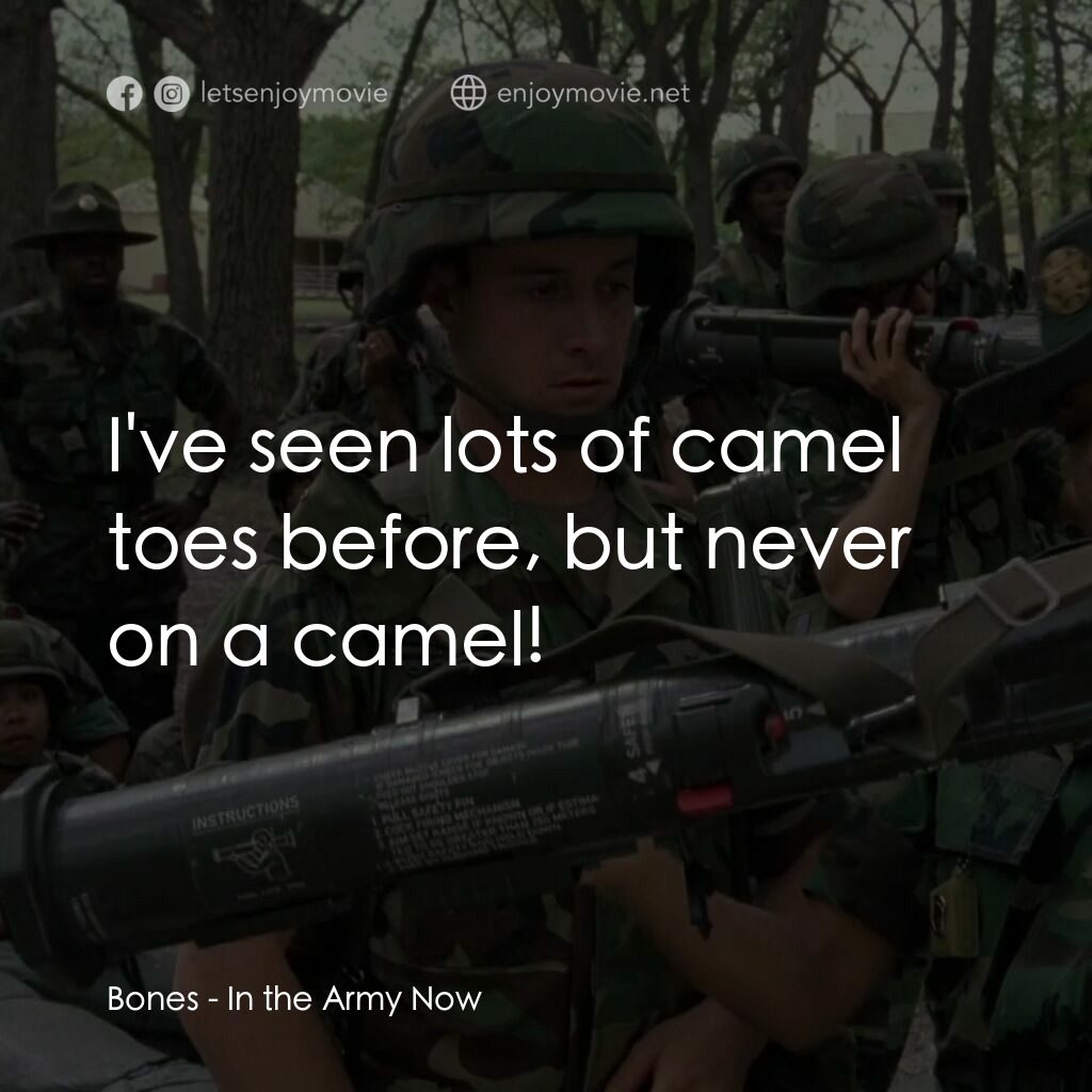 In the Army Now電影對白：Bones:  I've seen lots of camel toes before, but never on a camel!